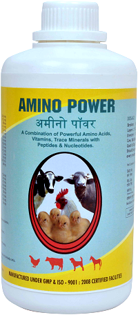 Amino Acids Vitamins Trace Minerals for Poultry Manufacturer Supplier Wholesale Exporter Importer Buyer Trader Retailer in Bangalore Karnataka India